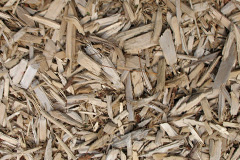biomass boilers Forehill